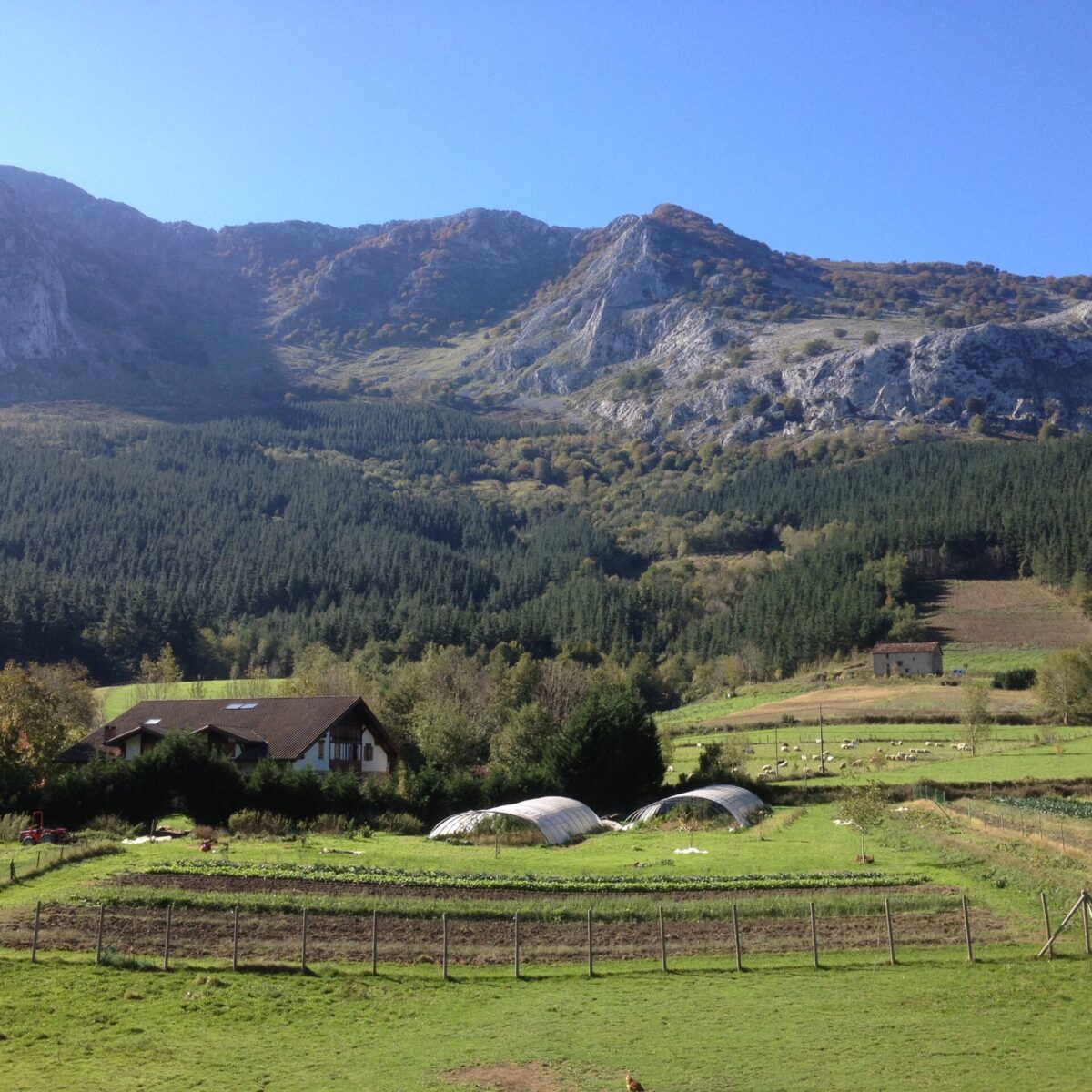 Huerta de Biezko Baserria