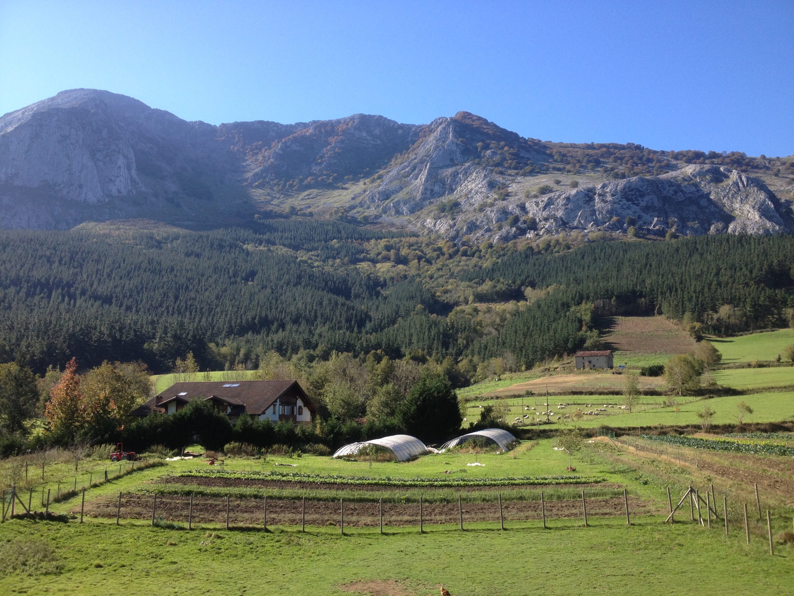 Huerta de Biezko Baserria