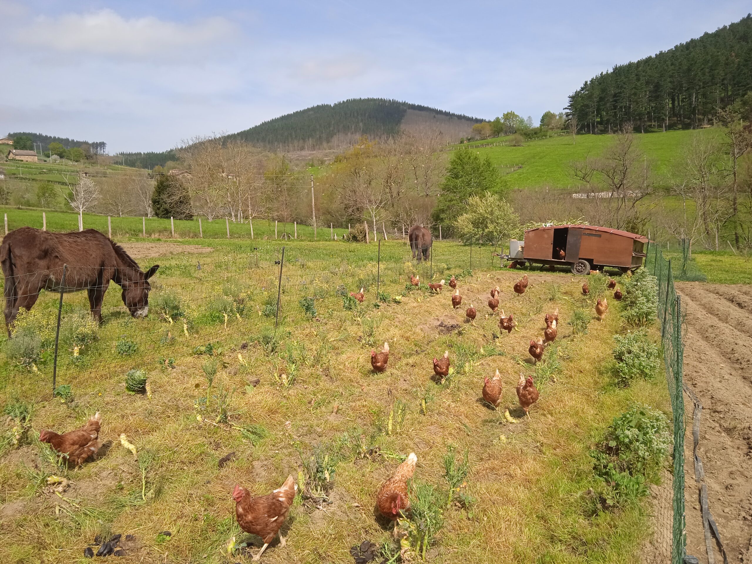Huerta de Baserri biezko con animales