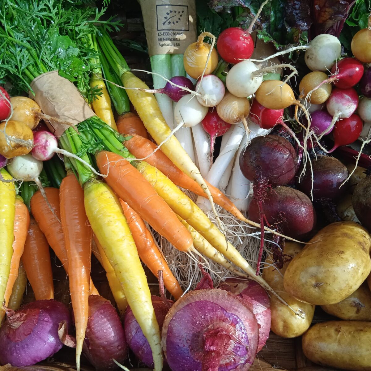 Alimentos recogidos de la huerta
