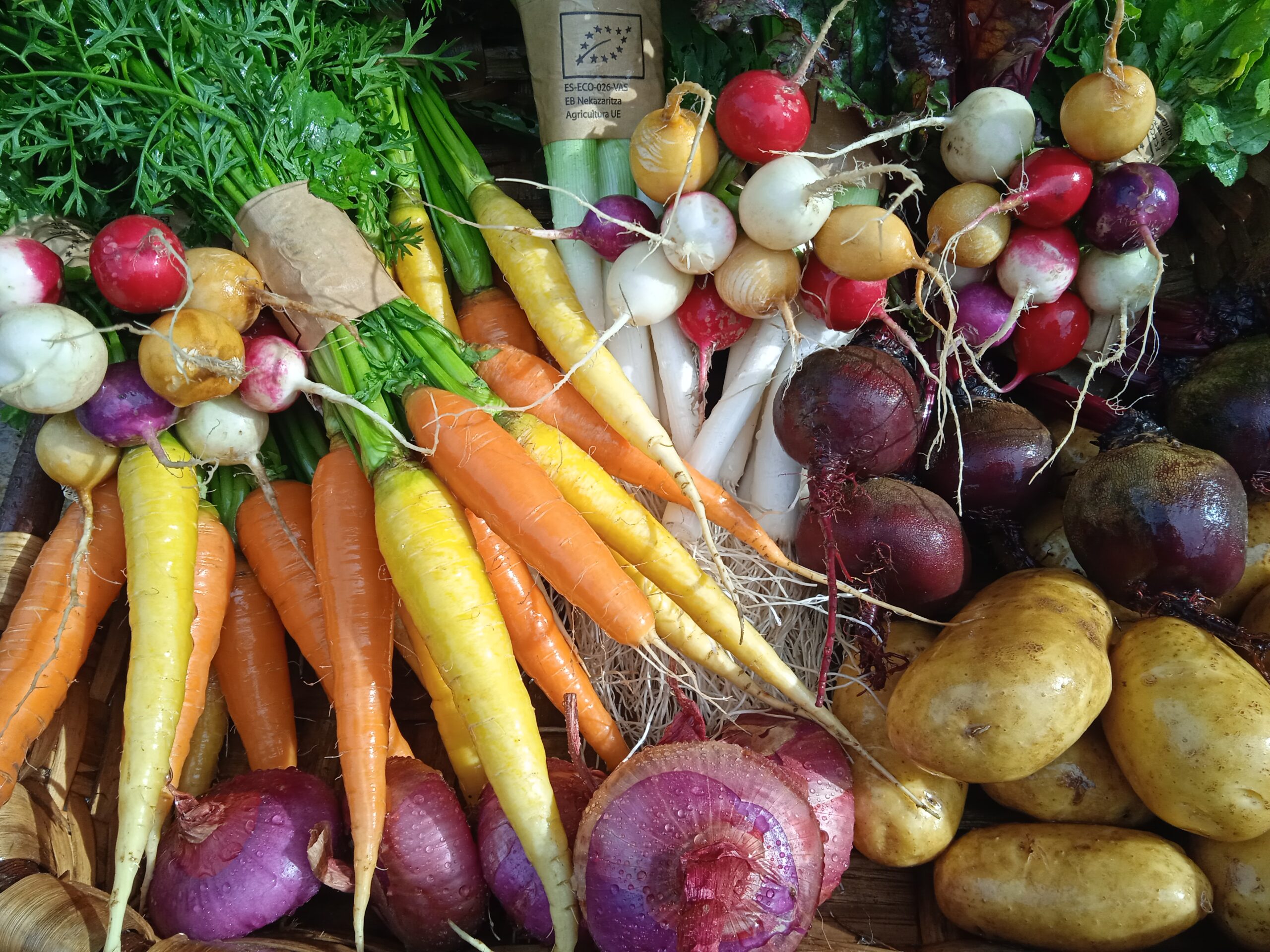 Alimentos recogidos de la huerta
