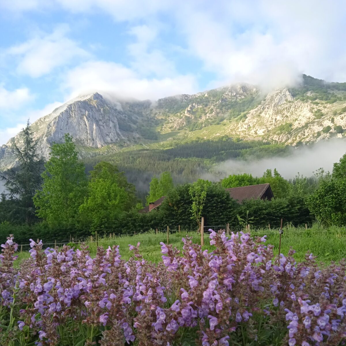 Varios y alrededores de Biezko